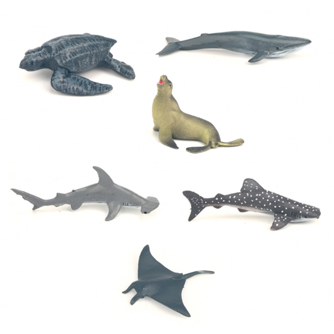 Set van zeedieren in een doos 6 stuks