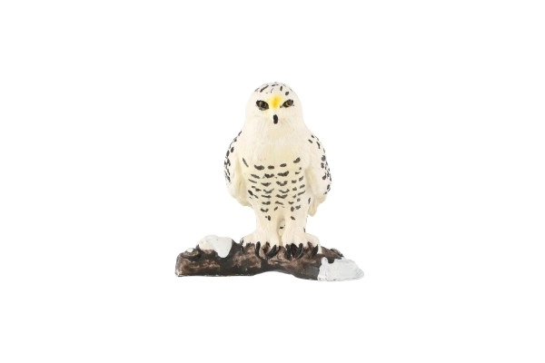 Ideaal voor collecties en diorama’s