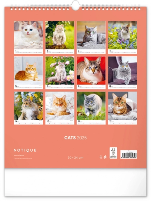 Wandkalender Katten 2025, 30 × 34 cm
