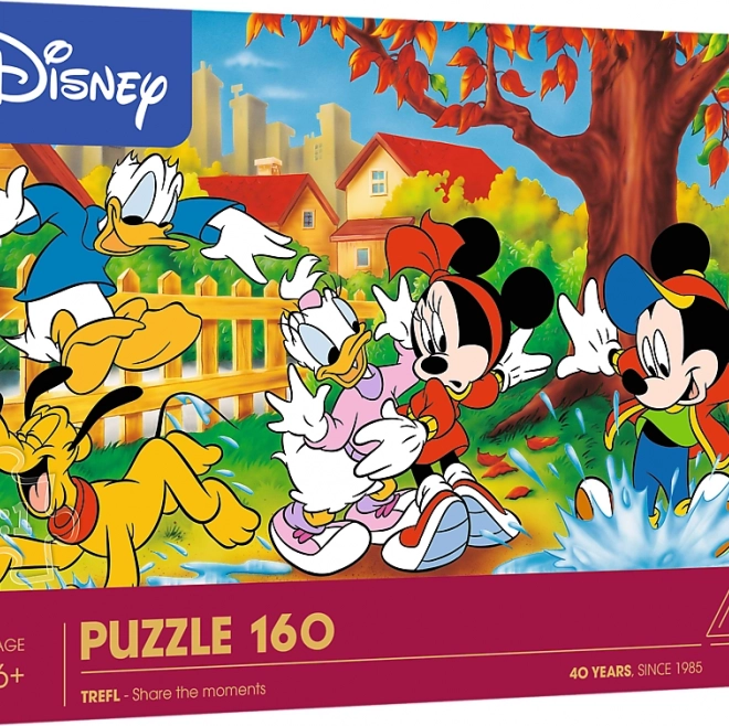 Puzzel Spelen in plassen 160 stukjes