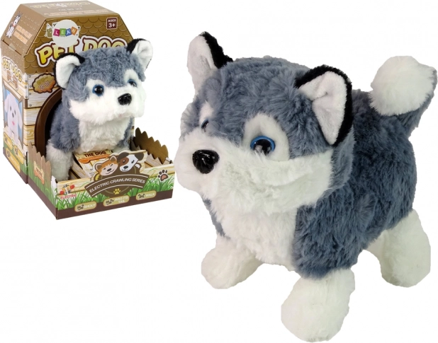 interactieve pluchen huskyhond – loopt, kwispelt en maakt geluiden