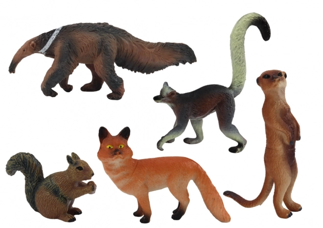 Dierenfiguren 5 Stuks: Eekhoorn, Stokstaartje, Miereneter, Vos, Maki