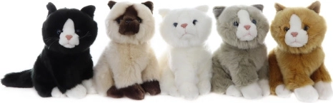 Pluchen kat 21 cm