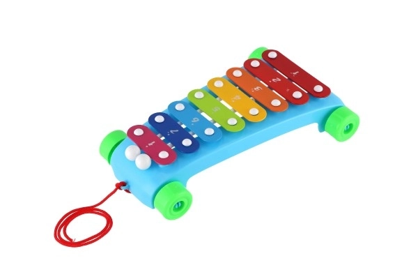 Xylofoon kunststof/metaal 24cm met stokken 2 kleuren in zak 19x31x6cm