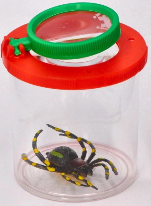 Doos voor insecten met een vergrootglas