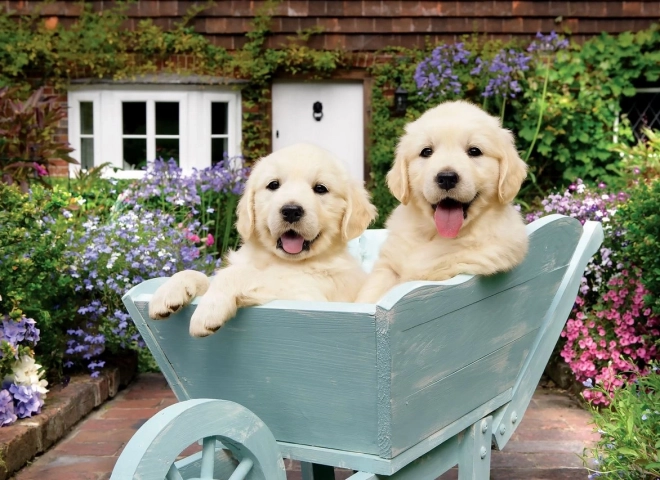 Puzzle ANATOLIAN puppy’s in een karretje 260 stukjes