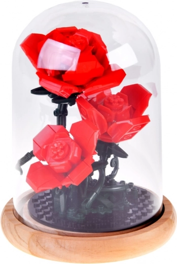 Stabiele koepel met houten voet