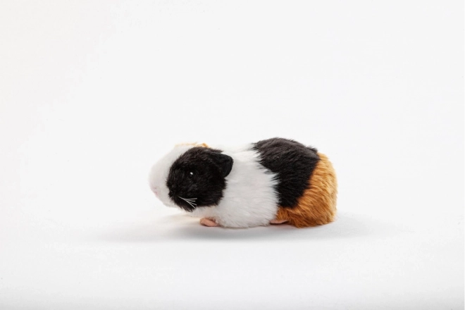 Pluche Cavia 21 cm - ECO - VRIENDELIJK