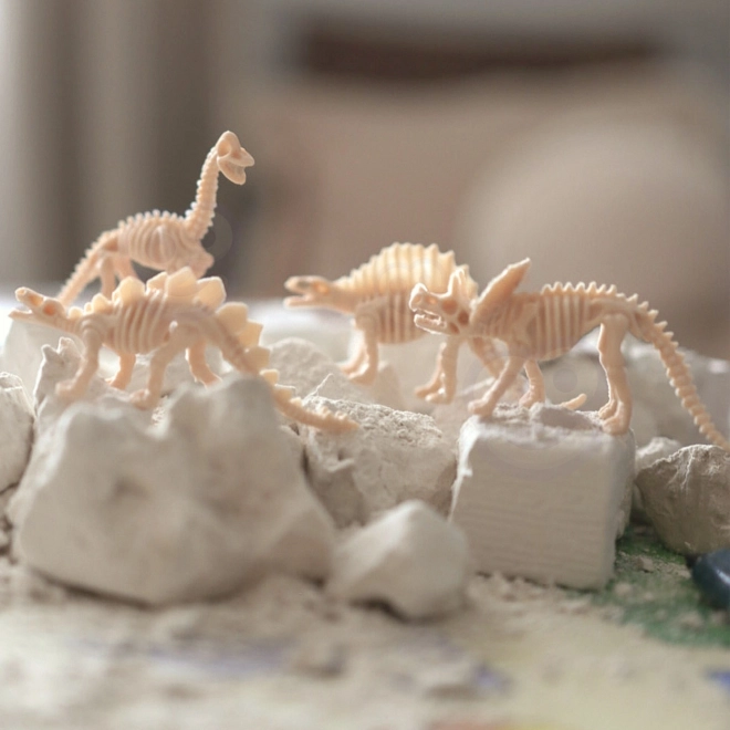 Graaf de dinosaurussen op: Kleine archeoloog