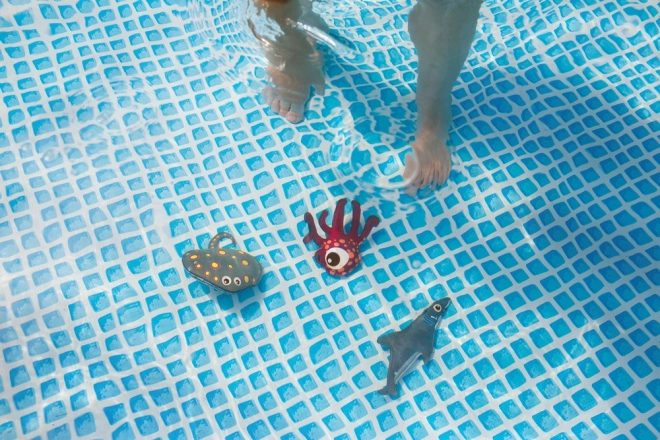 Zeedieren voor in het water voor kinderen