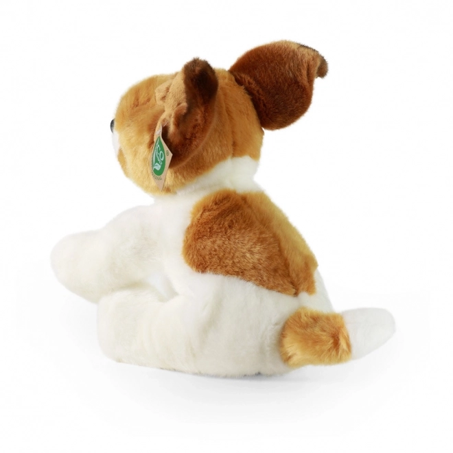 Pluchen hond jack russell terriër zittend 30 cm ECO-VRIENDELIJK