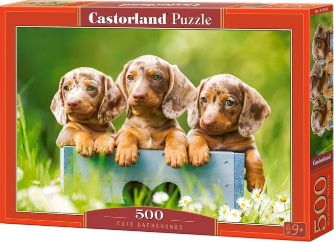 Puzzel 500 stukjes Schattige Teckels