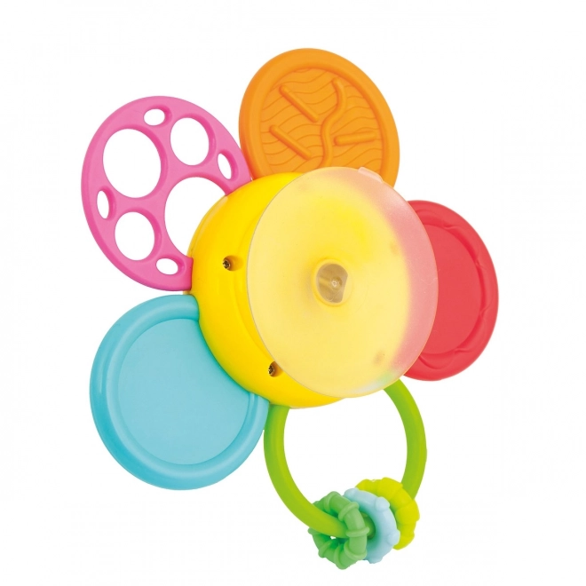 Rammelaar Daisy