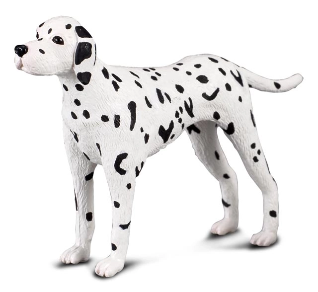 CollectA Dalmatiërfiguur