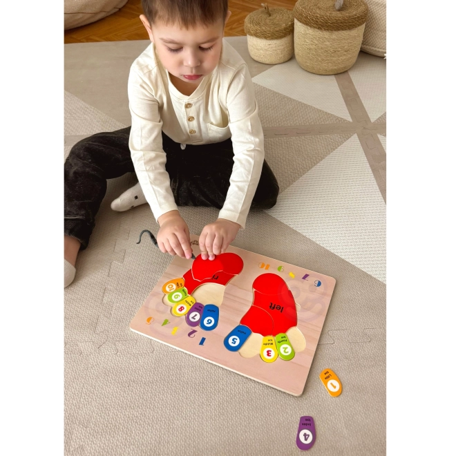 Houten educatieve puzzel TOOKY TOY - Leren cijfers en kleuren