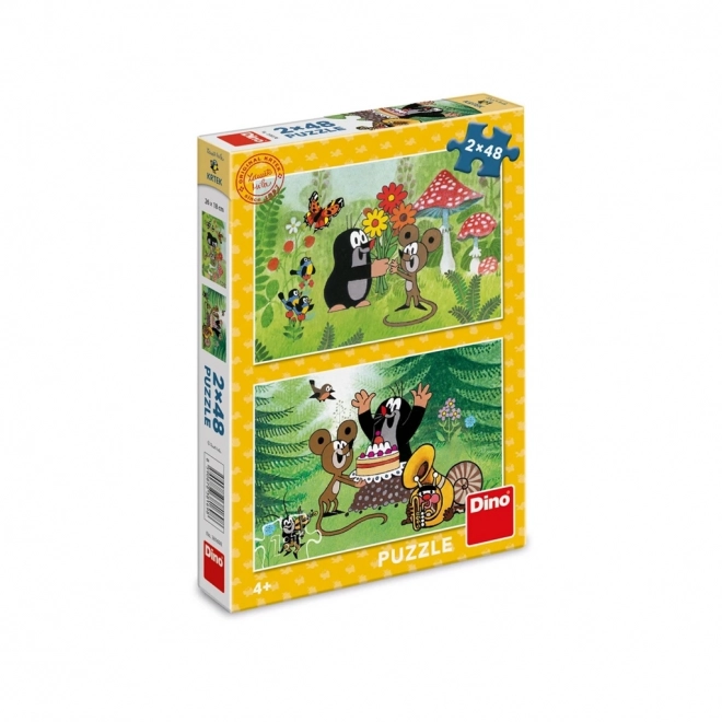 Dino Puzzel Mol Feest