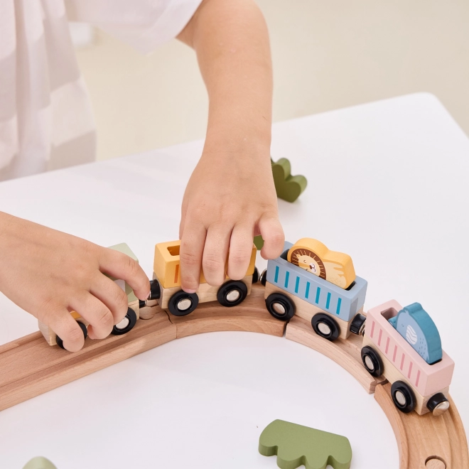 Houten treinset met batterijvoeding
