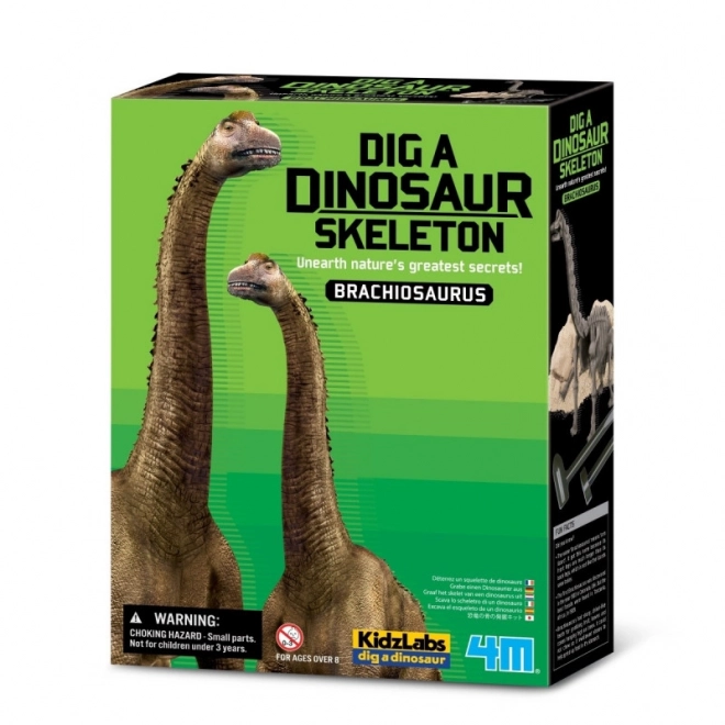 Wetenschappelijke opgravingsset - Brachiosaurus