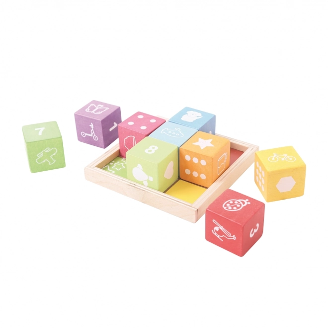 Houten blokken met afbeeldingen van Bigjigs Baby