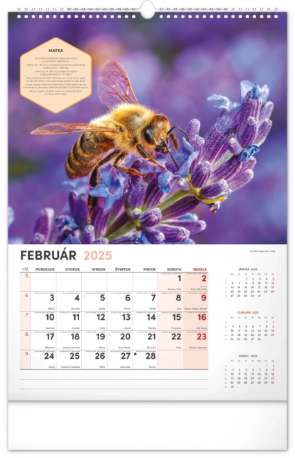 NOTIQUE Muur Bijenteelt Kalender 2025, 33 x 46 cm