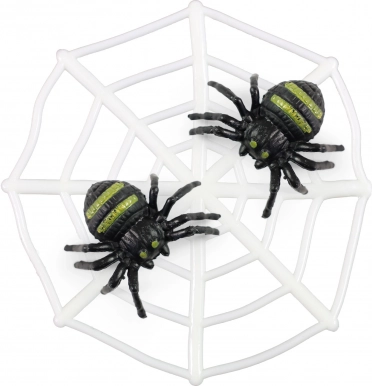 Spinrag met spinnen