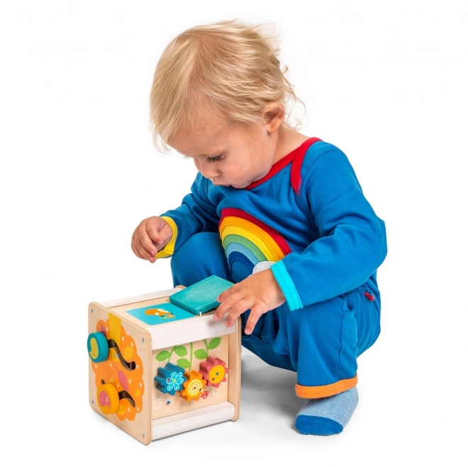 Le Toy Van Petilou Motorische Kubus