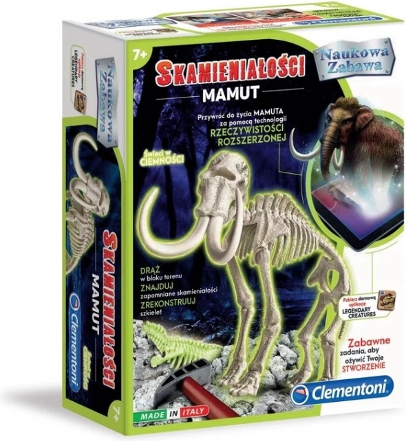 Wetenschappelijke set – mammoetfossiel