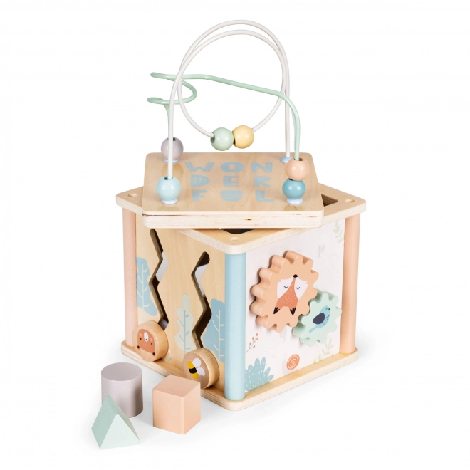 Houten educatieve blokken Ecotoys