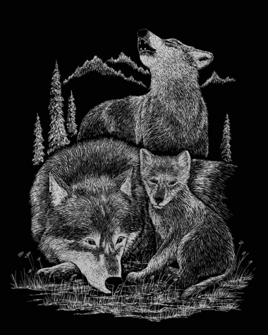 ROYAL & LANGNICKEL Kraskaartenblok Wilde Dieren Noord-Amerika