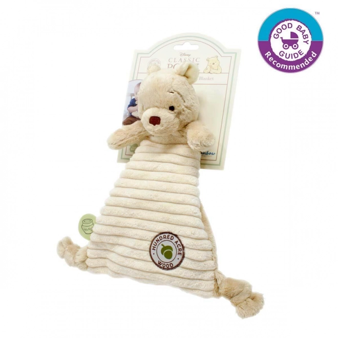 Regenboog Pluchen Knuffeldoekje Winnie de Poeh