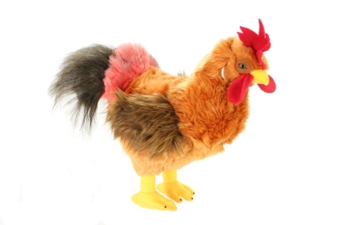 Pluchen haan