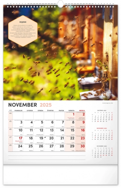 NOTIQUE Muur Bijenteelt Kalender 2025, 33 x 46 cm