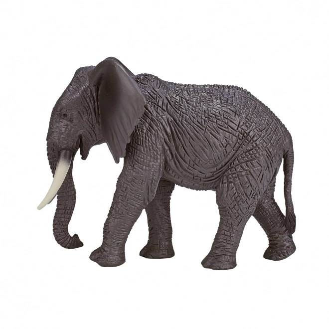 Mojo Afrikaanse Olifant