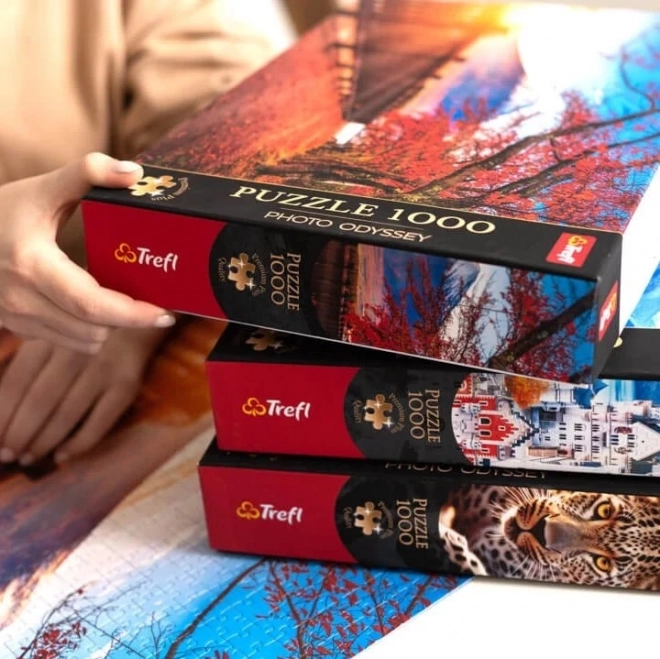 TREFL Puzzel Premium Plus Foto Odyssey: Eiffeltoren 1000 stukken
