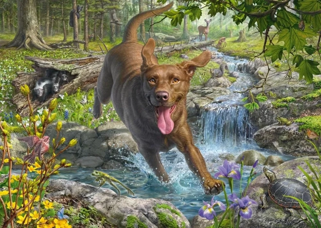 Puzzel Retriever in de lente 1000 stukjes