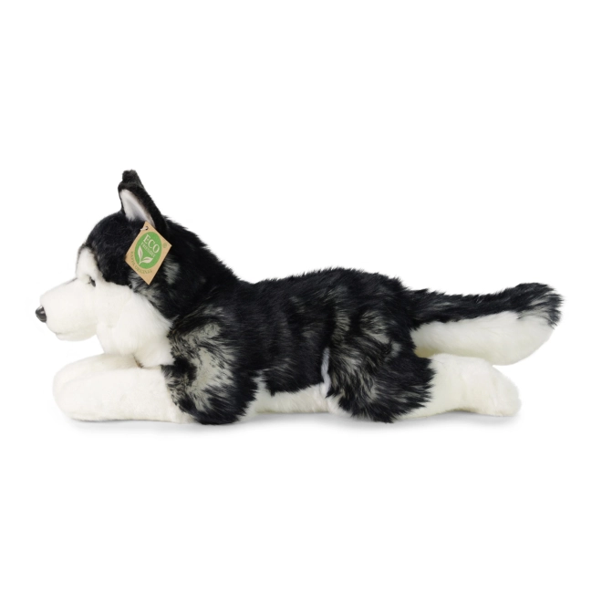 Pluche husky hond 36 cm ECO-VRIENDELIJK