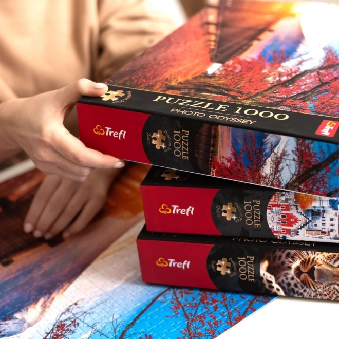 TREFL Puzzel Premium Plus Photo Odyssey: Spirit Island, Canada 1000 stukjes