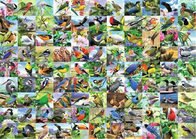Puzzel 2D groot formaat – 99 betoverende vogels, 300 stukjes