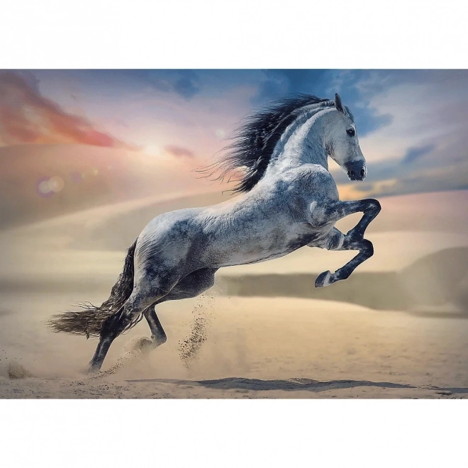 Puzzel 1000 stukken Majestueus Paard