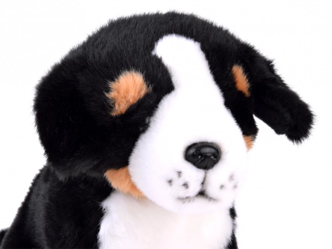 Pluche hond Berner Sennen - zittend 20 cm
