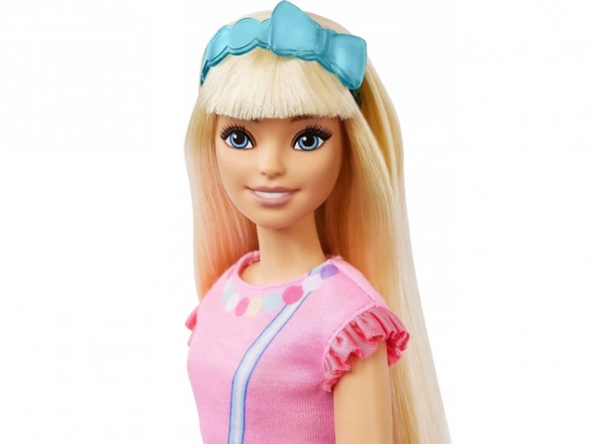 Mijn eerste Barbie met een kitten