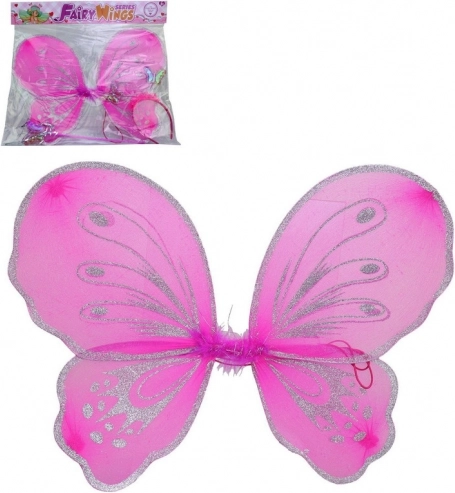 Feeënvleugels met accessoires
