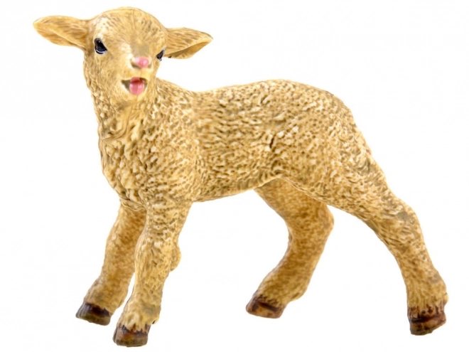 Schapen Geit Varken Huisdier ZA3384