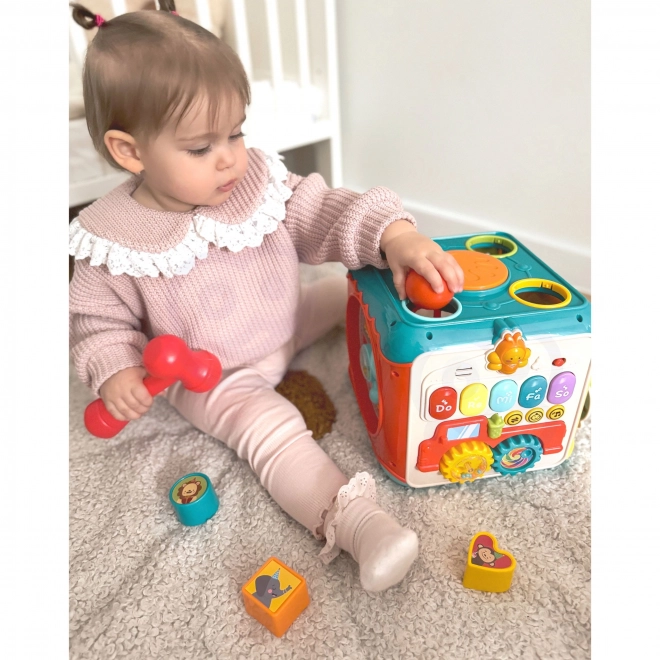 Montessori actieve kubus 6 in 1