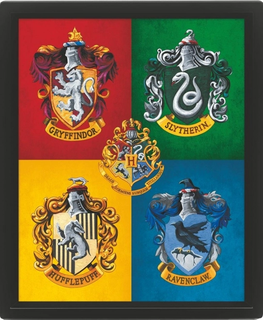 3D schilderij Harry Potter kleurrijk