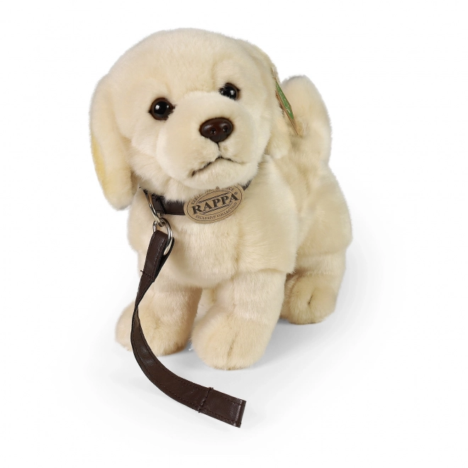 Pluchen hond Golden Retriever met riem 25 cm