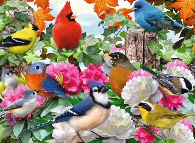 Ravensburger puzzel Tuinvogels 500 stukjes