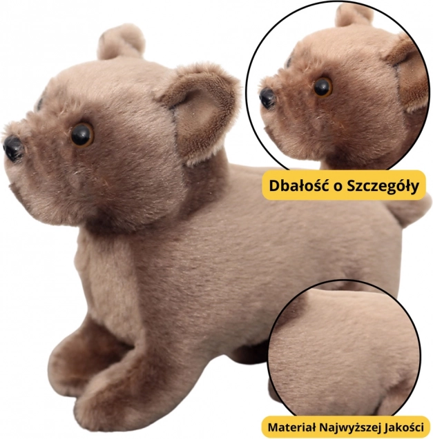 Bruine pluchen hondje 19cm