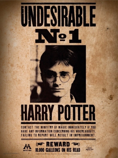 Mini puzzel HARRY POTTER 50 stukjes – poster