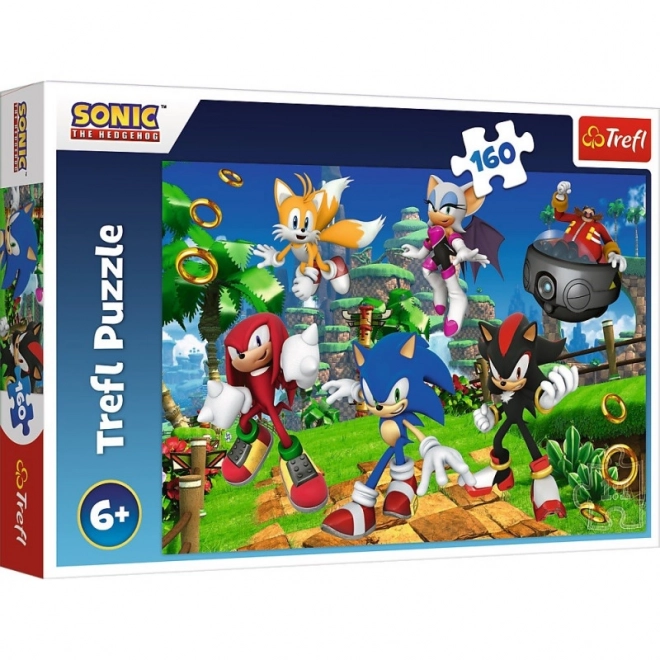 Puzzel Sonic en vrienden 160 stukjes